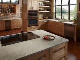 Forest Fern - Recycled Glass Countertops - San Jose